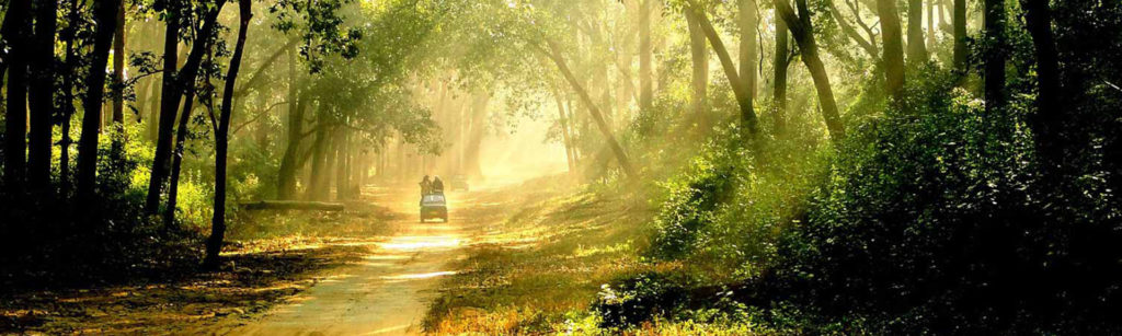 Delhi Nainital Kausani And Jim Corbett National Park Tour Package